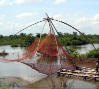 រូបលេខ៥