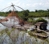 រូបលេខ៤