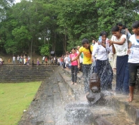 រូបលេខ១២