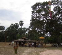 រូប​លេខ២
