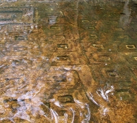 រូបលេខ៧