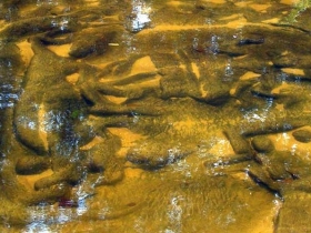 រូបលេខ៩