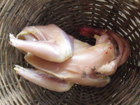 រូបលេខ១៣