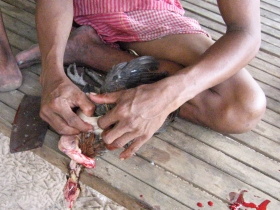 រូបលេខ១១