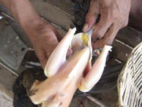 រូបលេខ១២
