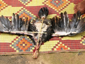 រូបលេខ១៤