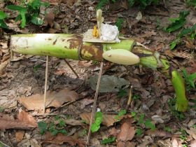រូបលេខ៦