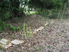 រូបលេខ១