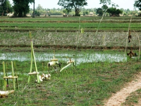 រូបលេខ៩