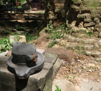 រូបលេខ២០