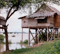រូបលេខ១០