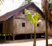 រូបលេខ៨