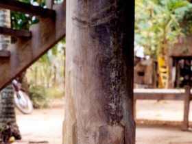 រូបលេខ៩