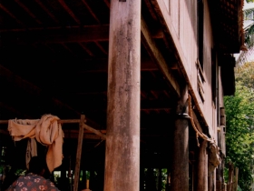 រូបលេខ១១