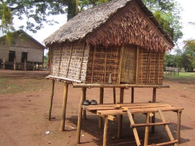 រូបលេខ១១