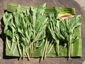 រូបលេខ១០