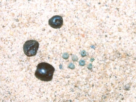 រូបលេខ២