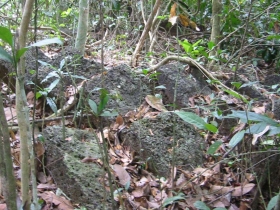 រូបលេខ៤