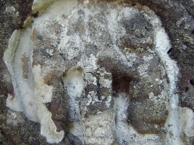 រូបលេខ៨