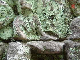 រូបលេខ៥