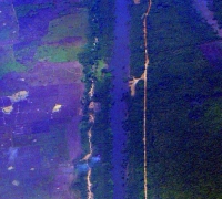 រូបលេខ១