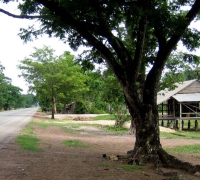 រូបលេខ១៥
