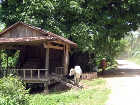 រូបលេខ៤