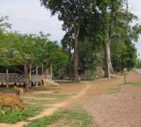 រូបលេខ៩