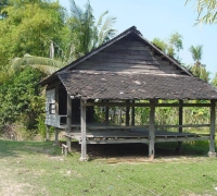 រូបលេខ១២