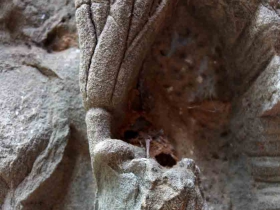 រូបលេខ២៧