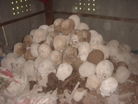 រូបលេខ៩