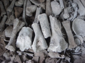 រូបលេខ១០
