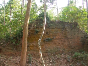 រូបលេខ៥
