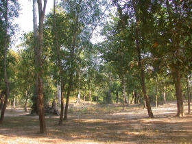 រូបលេខ៤
