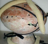 រូបលេខ៦