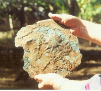 រូបលេខ៧