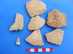 រូបលេខ១០