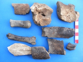 រូបលេខ១២