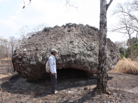រូបលេខ២