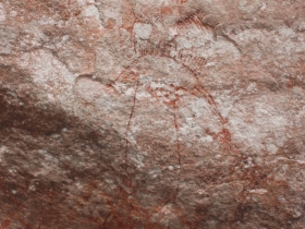 រូបលេខ១២