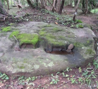 រូបលេខ៧