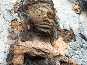 រូបលេខ២២