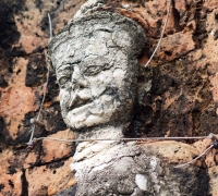 រូបលេខ២០