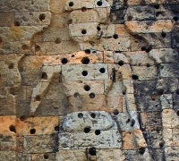 រូបលេខ១៧