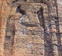 រូបលេខ១២