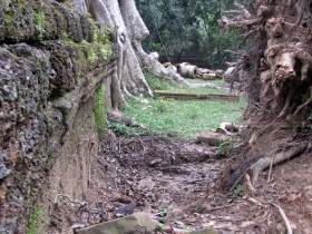 រូបលេខ២