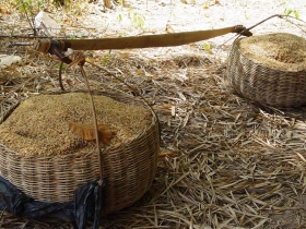 រូបលេខ៤