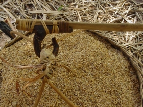 រូបលេខ៣