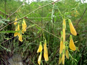 រូបលេខ៦
