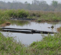 រូបលេខ៦